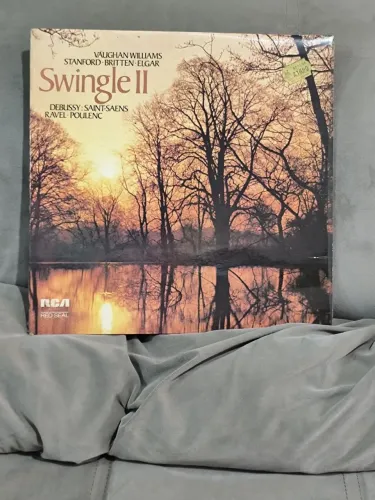 LP Vinil Swigle II 