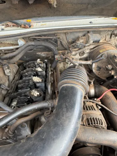 Peças motor ranger 3.0 diesel 2005 a 2012
