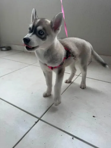 Vendo ou Troco 