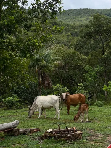 Propriedade Rural para parceria ou arrendamento em Taquarussu