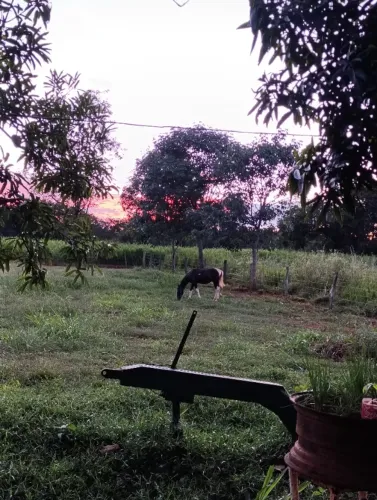 Trabalhador para fazenda no Tocantins 