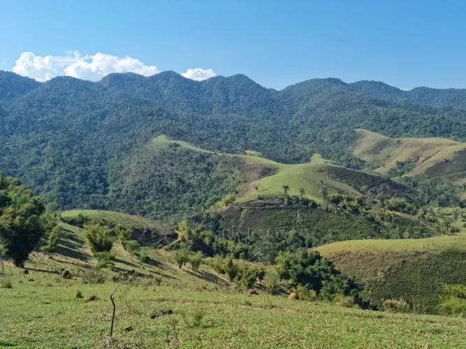 Fazenda à venda em São Francisco Xavier