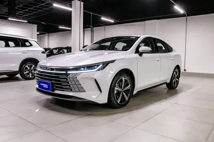 BYD King GS 1.5 16V Aut. (hibrido) 2025