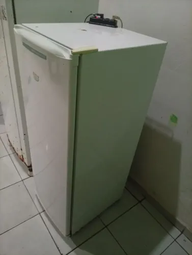 Vendo frizer quase nova vertical