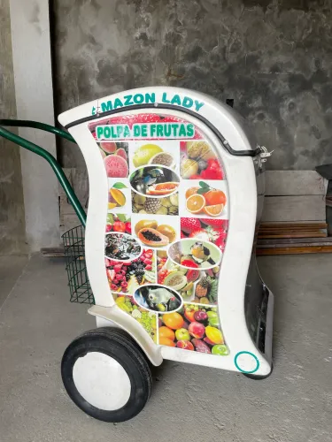 Carrinho ambulante Magnos 