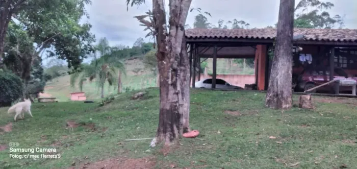 Sítio com 40.000 m² bem localizado, beira do asfalto e próximo da cidade, avalia permuta