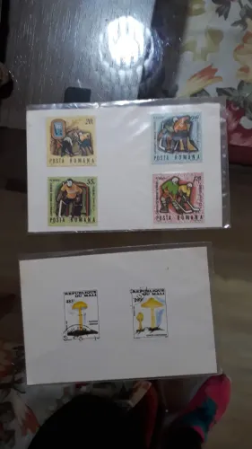 Coleção