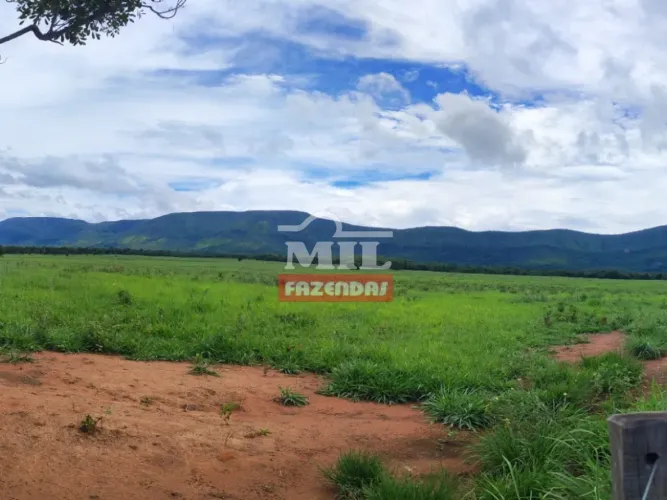Fazenda 38 Alqueires (183,92 Hectares) Formosa - GO