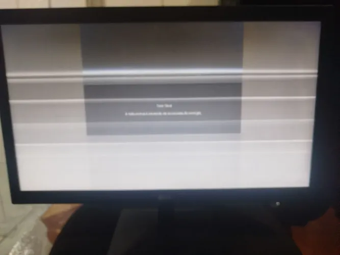 Monitor LG 19.5 Polegadas com defeito