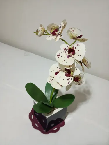 Orquídea decorativa