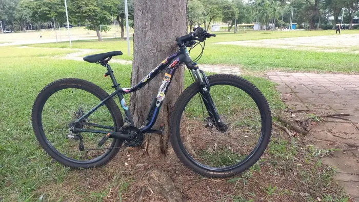 Bicicleta Caoi Lotus aro 29