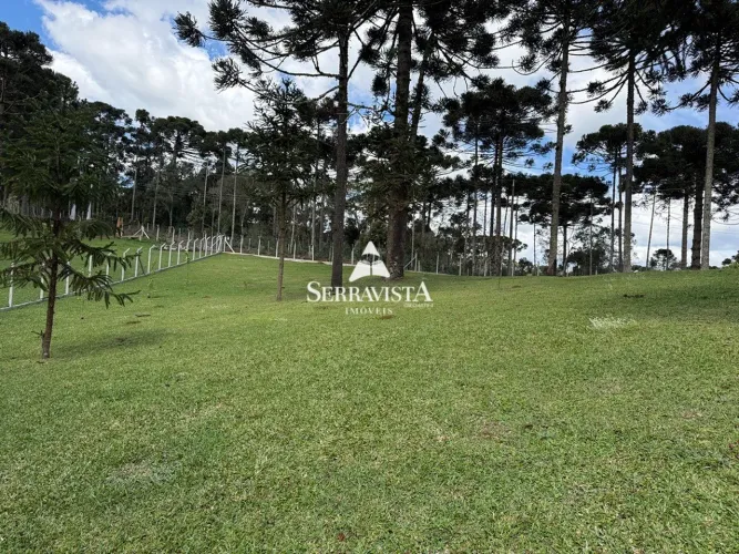 Lindo terreno para chácara em Campo Alegre - 2.500 m2