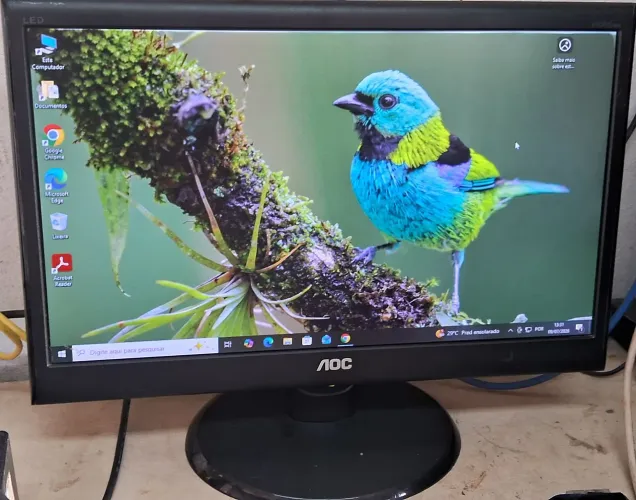 Monitor Aoc