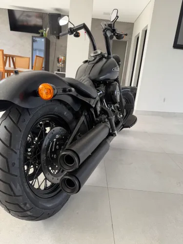 Harley slim 2018