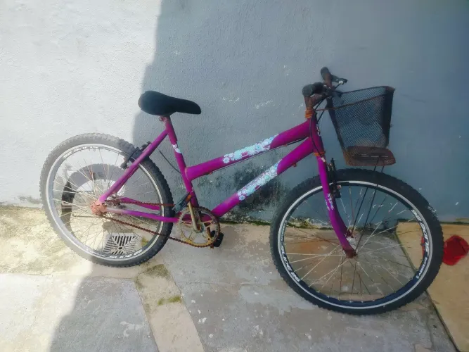 Bicicleta