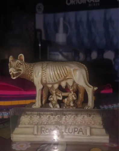 Roma lupa