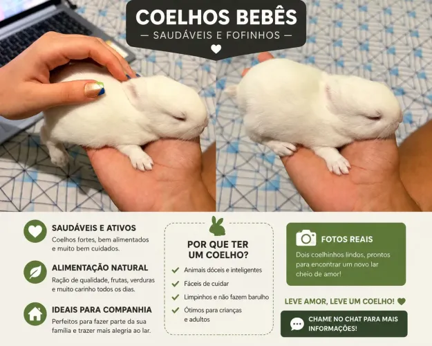 Coelho