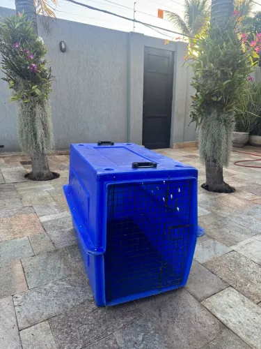 Caixa de transporte para cães pettour 500