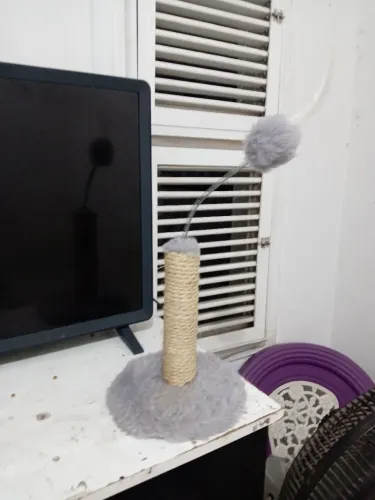 Arranhador de Gato