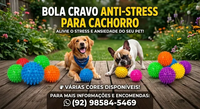 Bola cravo anti stress para pet
