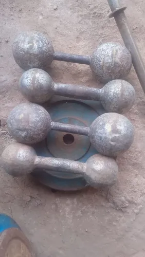 Musculação 