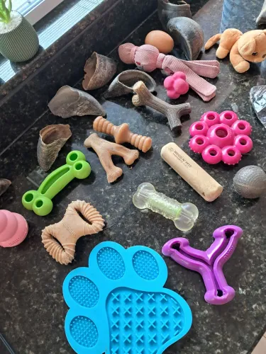 Kit acessórios cachorro porte pequeno / medio