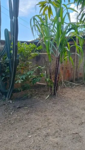Vendo Casa no Engenho das Lajes - Gama - DF