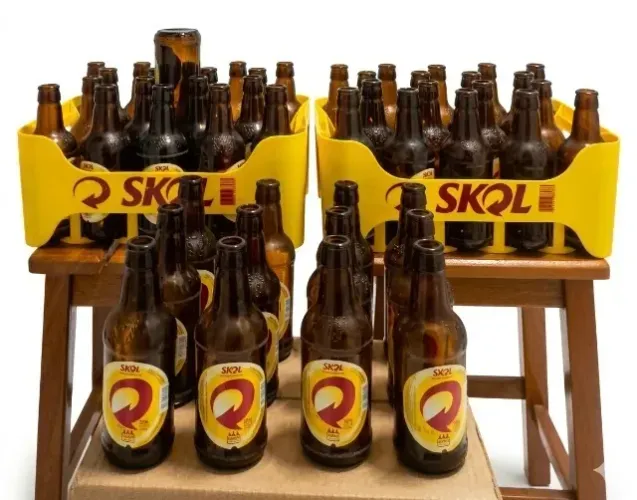 "Garrafas 300ml (49) + 2 Engradados Skol"
