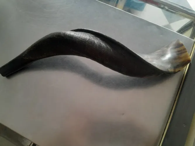 Shofar vindo de Israel 