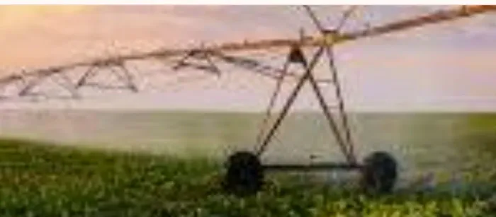 Fazenda 565 Hectares Com energia Trifásica/pivô Central..