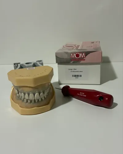 Manequim de periodontia MOM código 2040