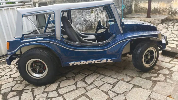 Volkswagen Buggy 1.6 8V Gasolina 2P Manual 1994