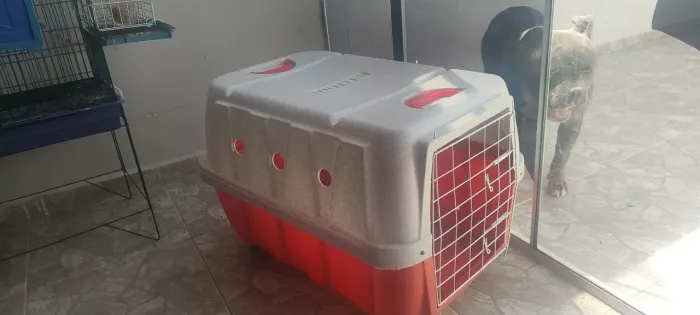 Caixa Transporte para cachorro porte Médio/ Grande.