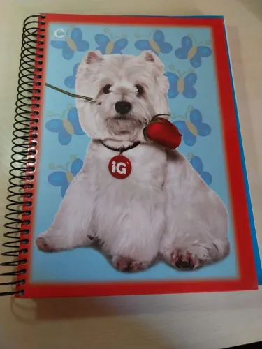 Caderno retrô IG