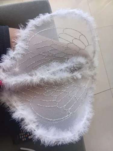 Asas e tiara de anjo