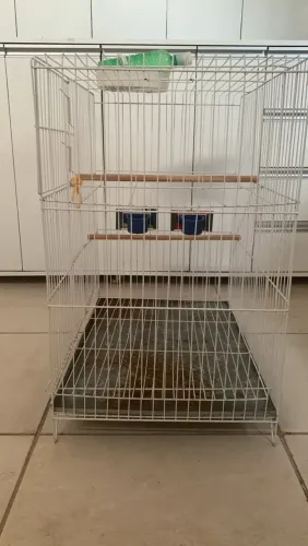 Gaiola p Pássaros
