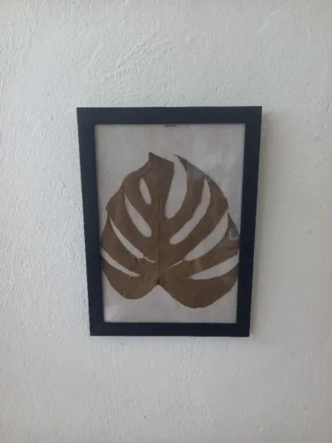 Quadros de folhas secas naturais