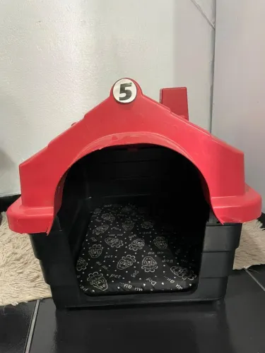 ? Casinha de cachorro à venda 