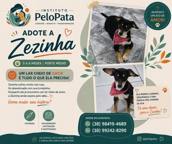 Adote