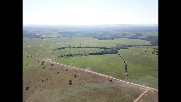 NEGÓCIO DE OPORTUNIDADE FAZENDA À VENDA PORTEIRA FECHADA COM TODOS OS MAQUINÁRIO