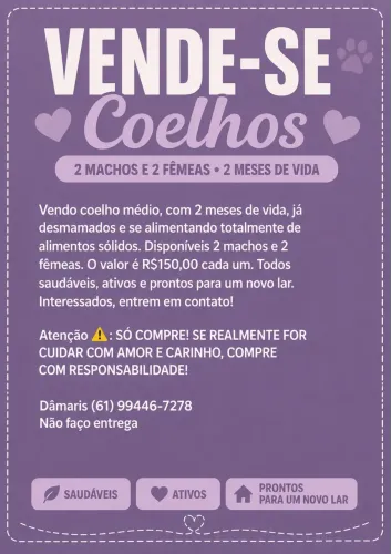Vendo coelhos