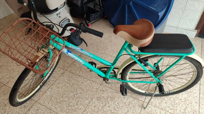 Bicicleta feminina