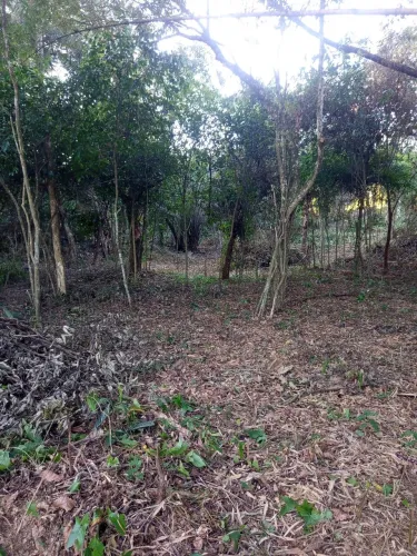 Mini chácara 700m2 entrada e parcelas