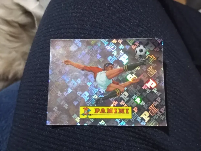 FIGURINHA OFICIAL PANINI 00