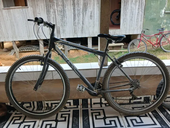 Bicicleta