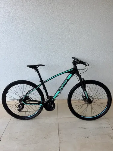 mountain bike