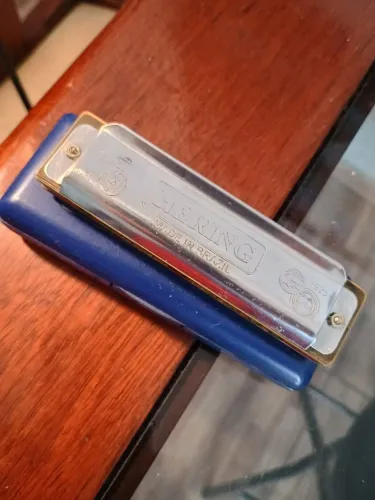 Gaita Hering Diatônica Master Blues C Dó 9020C Com Case