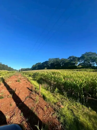 Terra a venda em Marechal Cândido Rondon