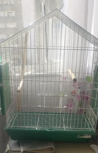 Vendo uma gaiola 50 reais ótimo estado