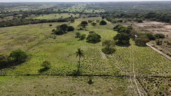 granja cim 19.6 hectares na região de macaiba próximo a escola agrícola de Jundiaí rica